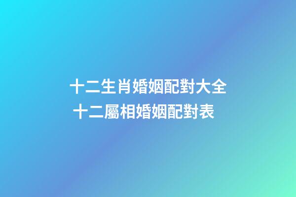 十二生肖婚姻配對大全 十二屬相婚姻配對表-第1張-觀點-玄機派